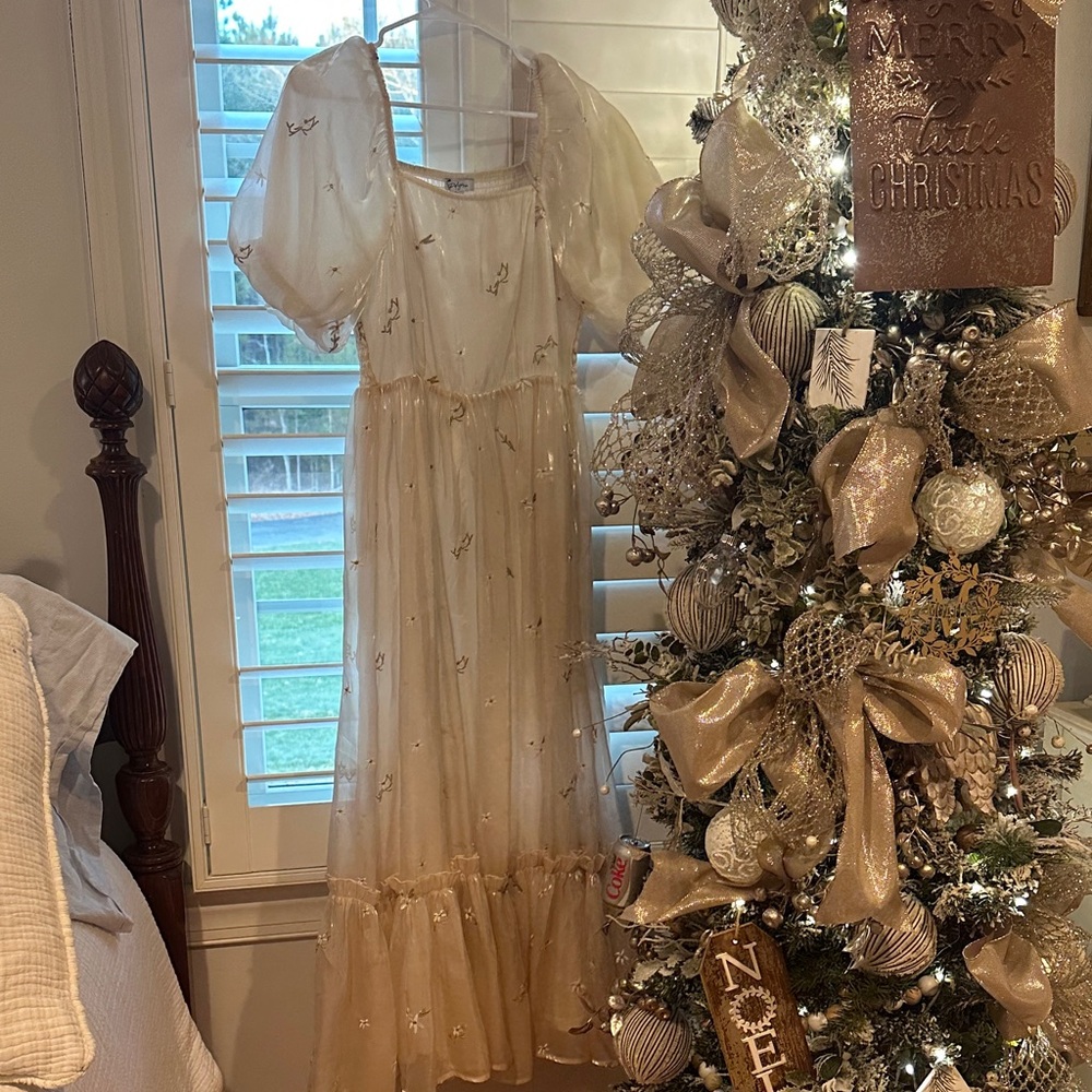 Chic Cream Puff Sleeve Dress